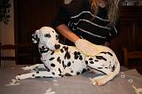 BAIN - DALMATIEN 045
